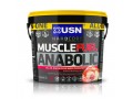 USN - MUSCLE FUEL ANABOLIC 4kg